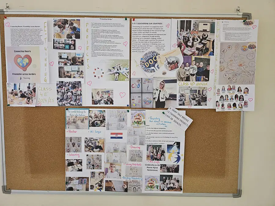 medjunarodni projekti engleski jezik